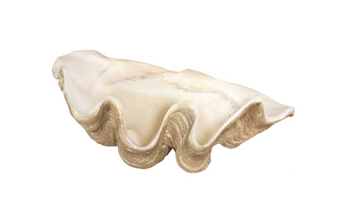 Phillips Collection Cast Clam Shell , Faux Finish, LG Beige Bowl