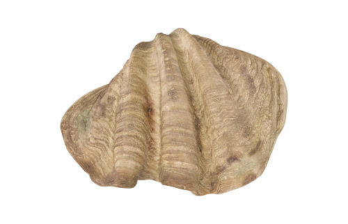 Phillips Collection Cast Clam Shell , Faux Finish, LG Beige Bowl