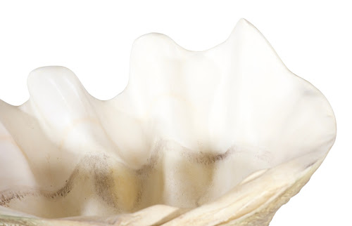 Phillips Collection Cast Clam Shell , Faux Finish, LG Beige Bowl