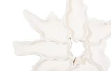 Phillips Collection Contour Cast Root Flower Wall Art White Stone Accent