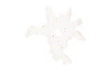 Phillips Collection Contour Cast Root Flower Wall Art White Stone Accent