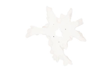 Phillips Collection Contour Cast Root Flower Wall Art White Stone Accent