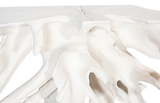 Phillips Collection Contour Cast Root White Stone Console