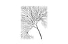 Phillips Collection Wire Tree Rectangular Metal Black Wall Art