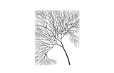 Phillips Collection Wire Tree Rectangular Metal Black Wall Art