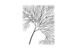 Phillips Collection Wire Tree Rectangular Metal Black Wall Art