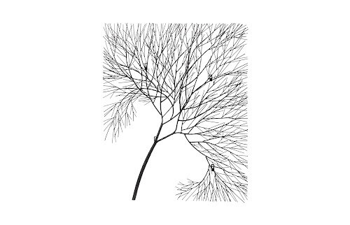 Phillips Collection Wire Tree Rectangular Metal Black Wall Art