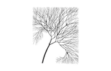 Phillips Collection Wire Tree Rectangular Metal Black Wall Art
