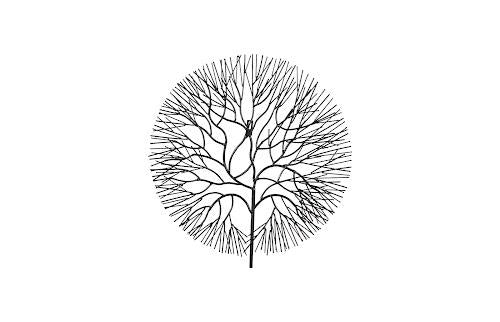 Phillips Collection Wire Tree Small Circle Metal Black Wall Art