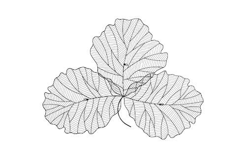 Phillips Collection Tri Leaf Wall Art Medium Metal Silver/Black Accent