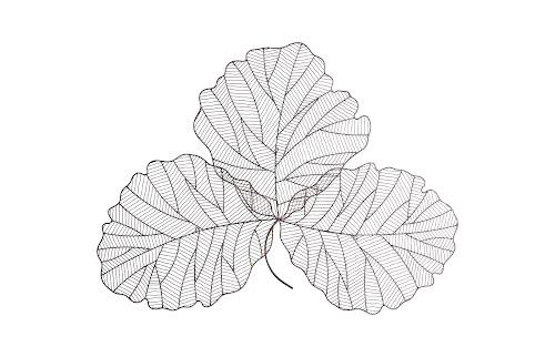 Phillips Collection Tri Leaf Wall Art Medium Metal Copper/Black Accent