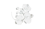 Phillips Collection Orchid Sprig Wall Art Small Metal White Accent