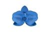Phillips Collection Orchid Flower Wall Decor Blue Metal Accent