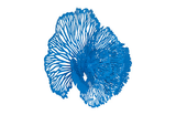 Phillips Collection Flower Wall Art Medium Blue Metal Accent