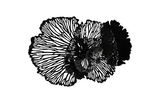 Phillips Collection Flower Wall Art, Medium, Black, Metal Black Accent