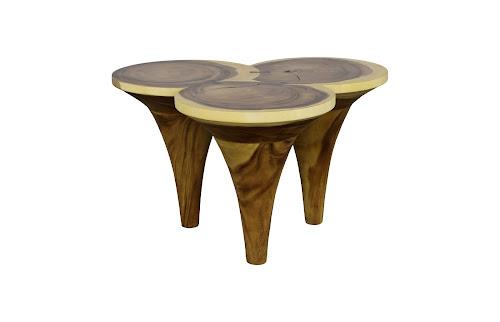 Phillips Collection Marley Natural Coffee Table