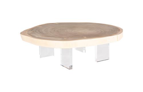 Phillips Collection Floating  with Acrylic Legs Bleached  Size Varies Coffee Table