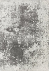 Surya Aberdine ABE-8013 2'2" x 3' Rug