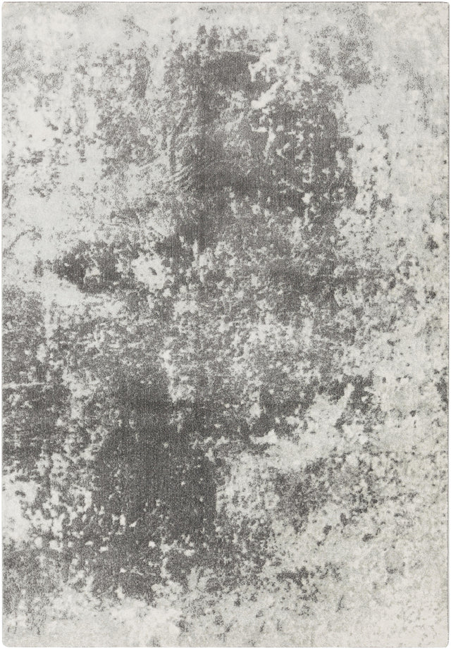 Surya Aberdine ABE-8013 2'2" x 3' Rug