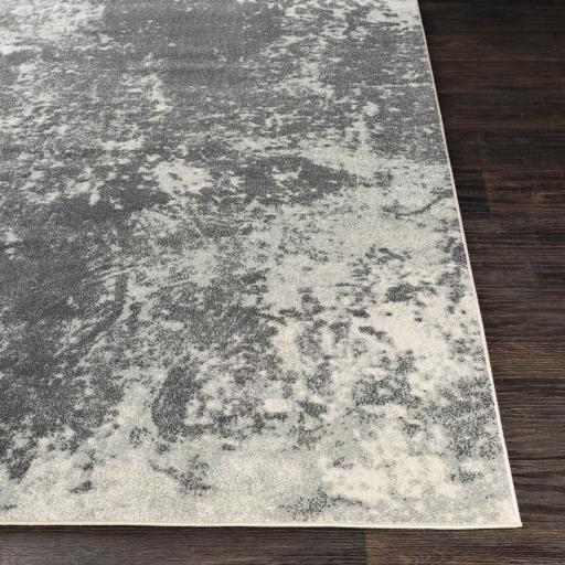 Surya Aberdine ABE-8013 2'2" x 3' Rug