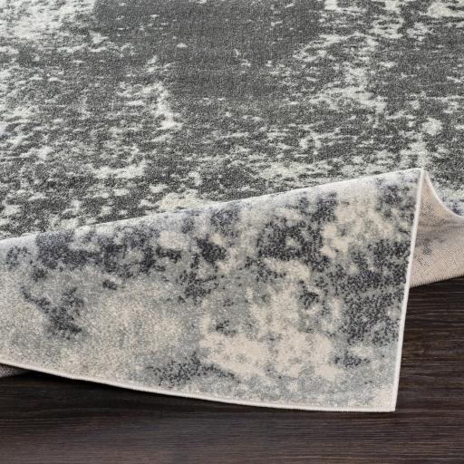 Surya Aberdine ABE-8013 2'2" x 3' Rug