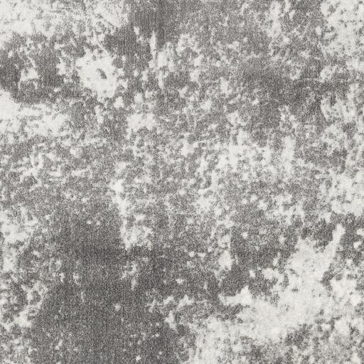 Surya Aberdine ABE-8013 2'2" x 3' Rug