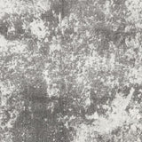 Surya Aberdine ABE-8013 2'2" x 3' Rug