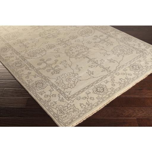 Surya Ainsley AIN-1018 Charcoal Taupe 2' x 3' Rug