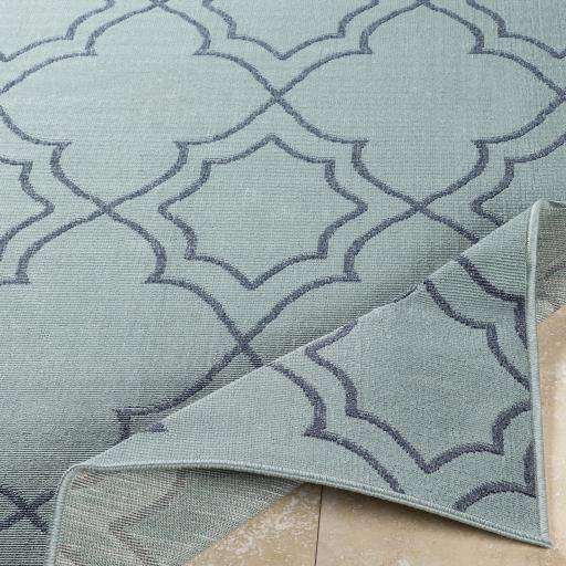 Surya Alfresco ALF-9652 5'11" x 8'10" Rug