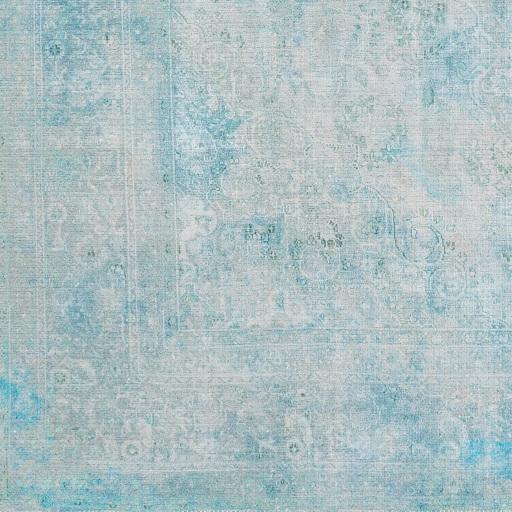 Surya Amelie AML-2305 2' x 2'11" Rug