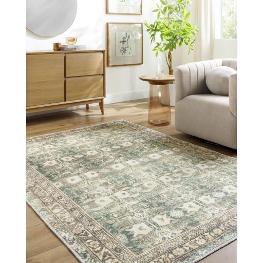 Surya Amelie AML-2396 6'7" x 9' Rug