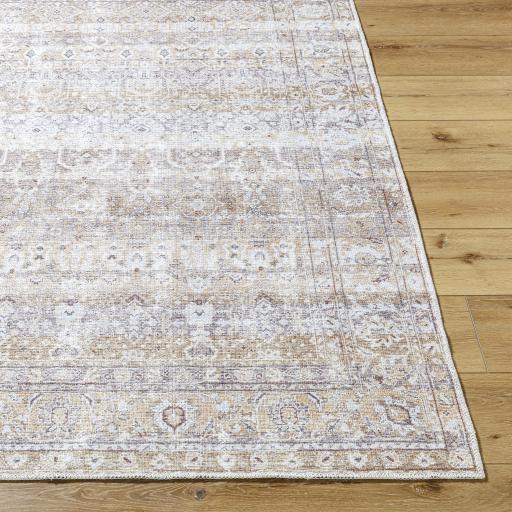 Surya Amelie AML-2400 2'7" x 7'10" Rug