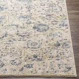 Surya Amore AMO-2307 2'3" x 3'9" Rug