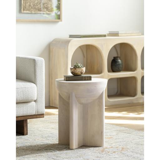 Surya Amari AMRI-001 20"H x 16"W x 16"D Furniture Piece