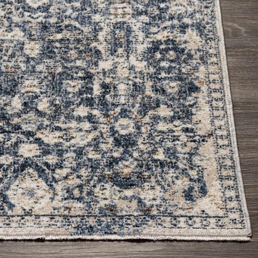 Surya Amore AMO-2332 2'3" x 3'9" Rug