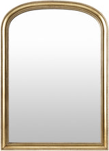 Surya Nalanda ANAN-002 42"H x 30"W x 2"D Mirror