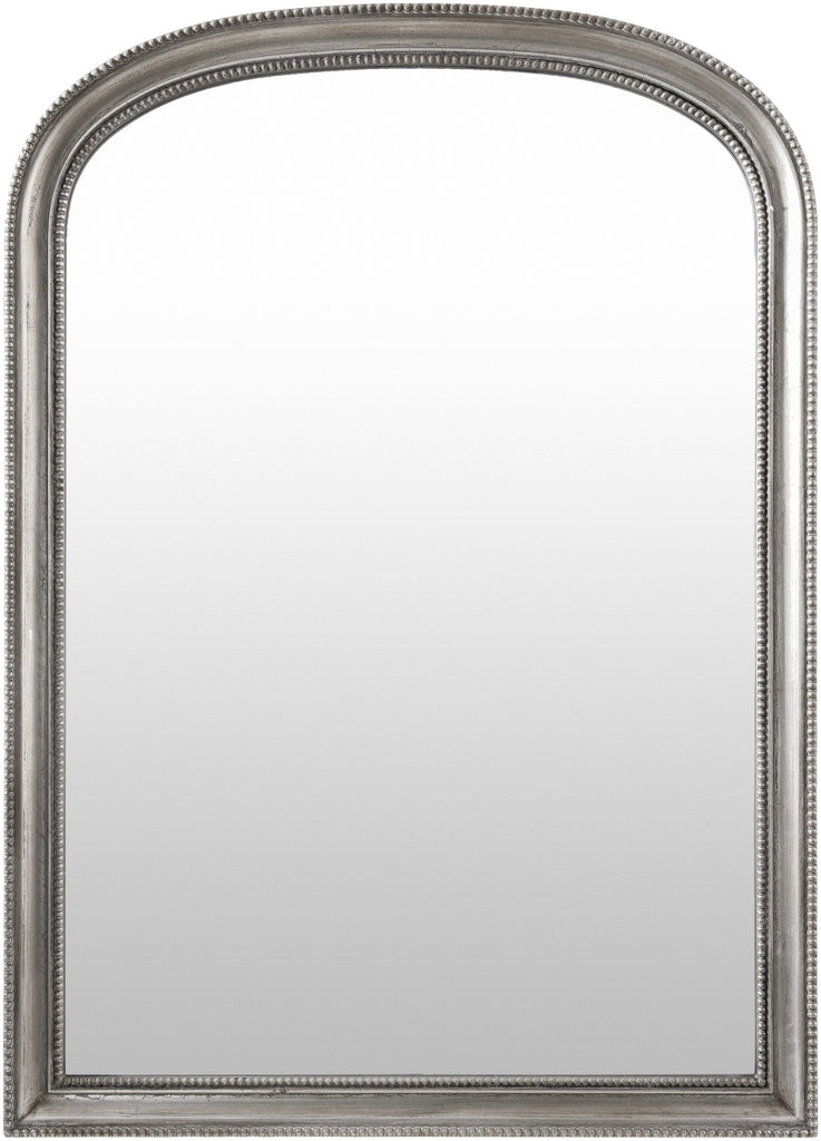 Surya Nalanda ANAN-004 Metallic - Silver 42"H x 30"W x 2"D Mirror