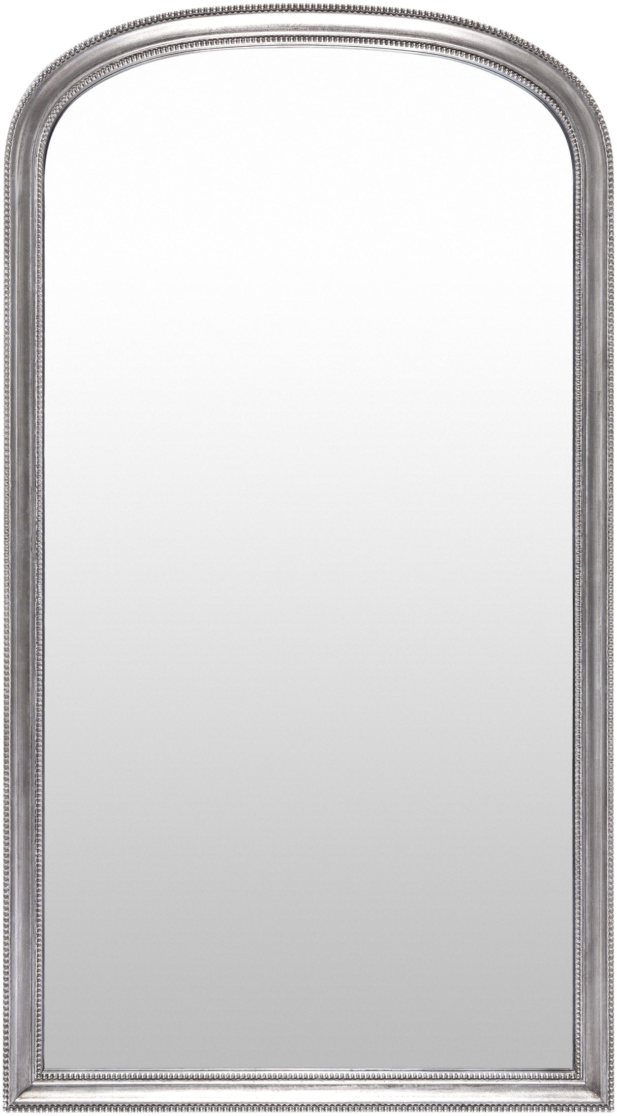Surya Nalanda ANAN-003 65"H x 35"W x 2"D Mirror