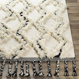 Surya Apache APA-2300 2'6" x 8' Rug