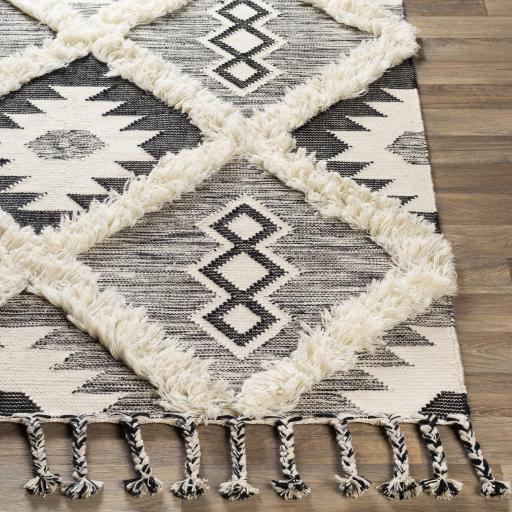 Surya Apache APA-2303 2'6" x 8' Rug