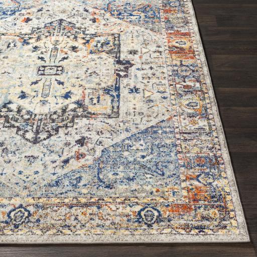 Surya Ararat ARA-2301 2' x 3' Rug
