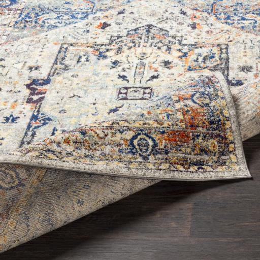 Surya Ararat ARA-2301 2' x 3' Rug