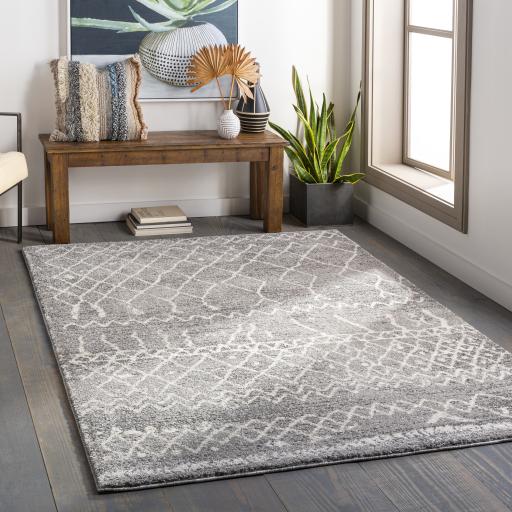 Surya Andorra ARD-2304 6'7" x 9' Rug