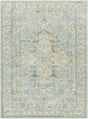 Surya Avellino AVL-2300 10' x 14' Rug