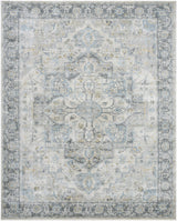 Surya Avellino AVL-2301 10' x 14' Rug