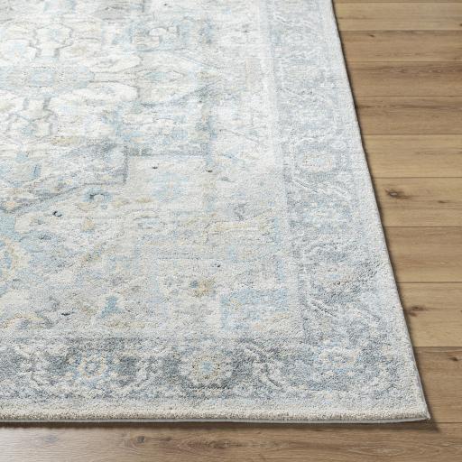 Surya Avellino AVL-2301 10' x 14' Rug
