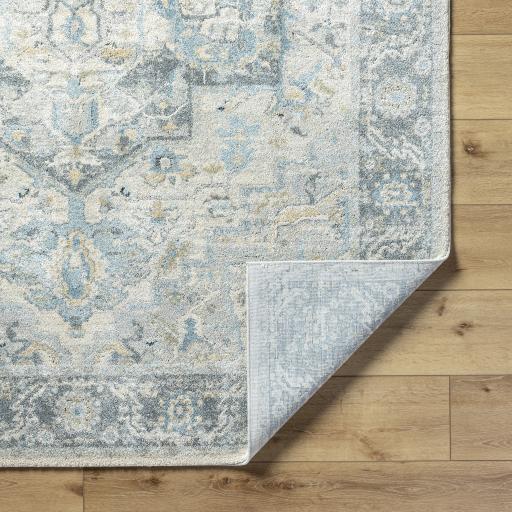 Surya Avellino AVL-2301 10' x 14' Rug