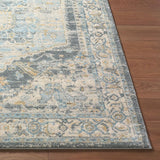 Livabliss Avellino AVL-2303 10' x 14' Machine Woven Rug