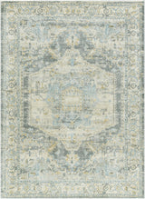 Surya Avellino AVL-2303 7'10" x 10' Rug