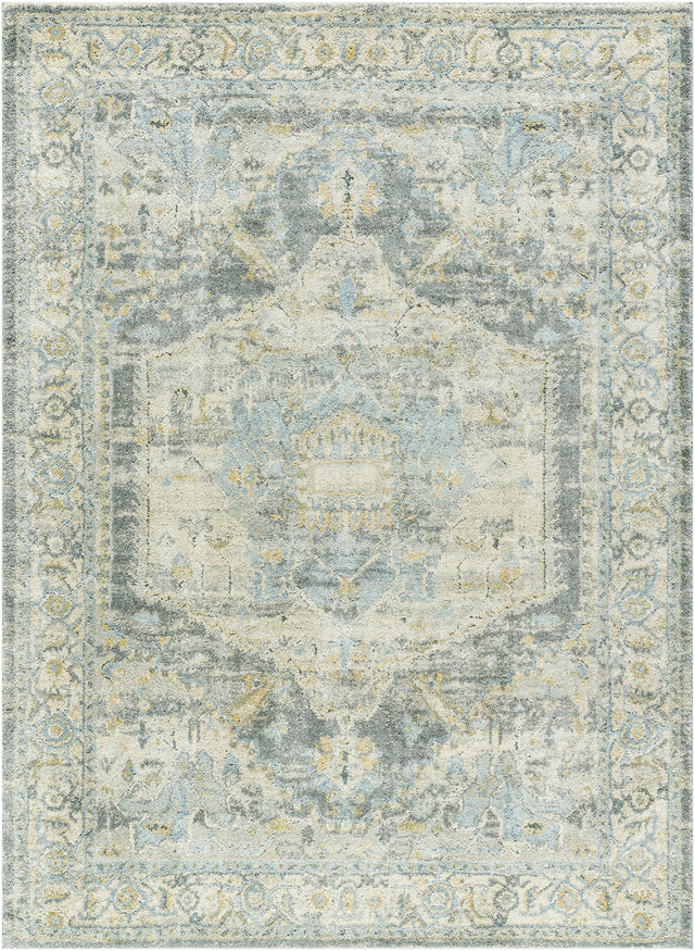 Surya Avellino AVL-2303 7'10" x 10' Rug